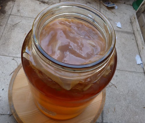 Kombucha Tea-2